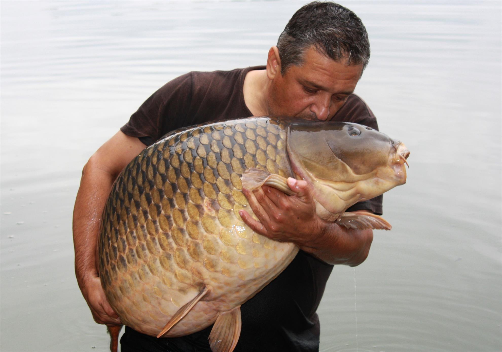 new personal best - 31 kg - img8.JPG